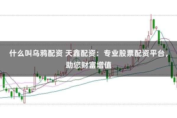 什么叫乌鸦配资 天鑫配资：专业股票配资平台，助您财富增值