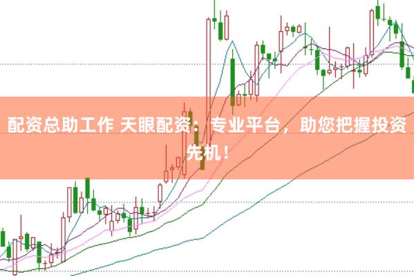 配资总助工作 天眼配资：专业平台，助您把握投资先机！