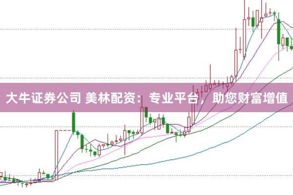 大牛证券公司 美林配资：专业平台，助您财富增值