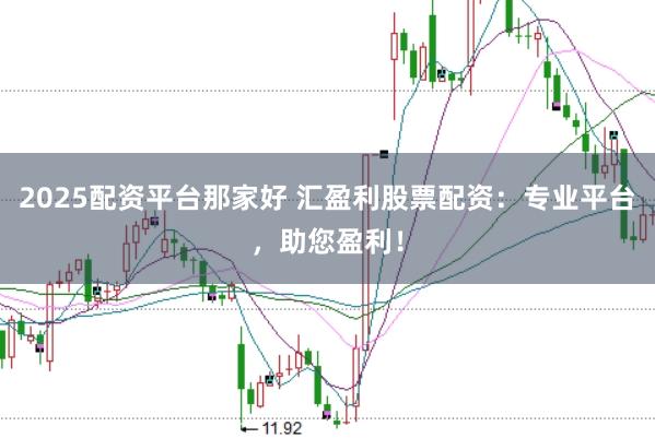 2025配资平台那家好 汇盈利股票配资：专业平台，助您盈利！