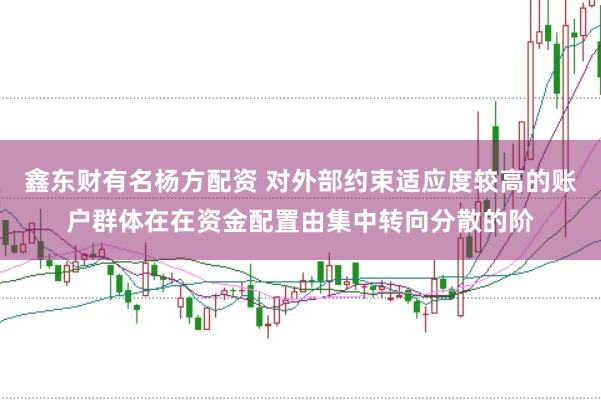 鑫东财有名杨方配资 对外部约束适应度较高的账户群体在在资金配置由集中转向分散的阶