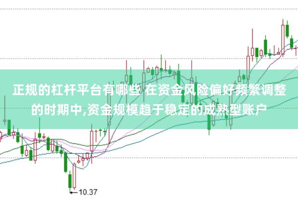 正规的杠杆平台有哪些 在资金风险偏好频繁调整的时期中,资金规模趋于稳定的成熟型账户