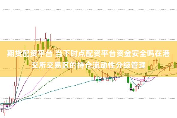 期货配资平台 当下时点配资平台资金安全吗在港交所交易区的持仓流动性分级管理
