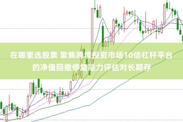 在哪里选股票 聚焦跨境投资市场10倍杠杆平台的净值回撤修复能力评估对长期存