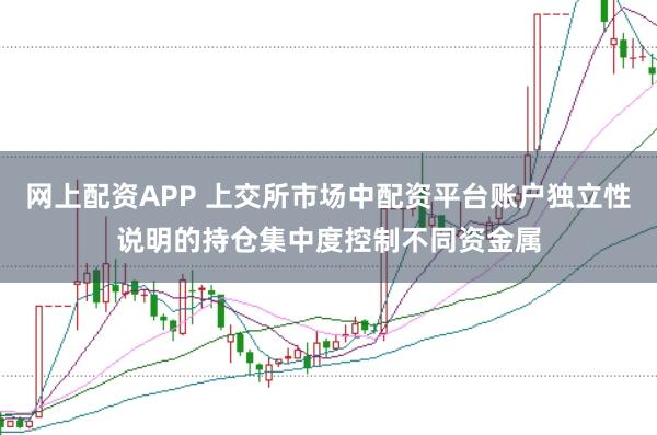 网上配资APP 上交所市场中配资平台账户独立性说明的持仓集中度控制不同资金属