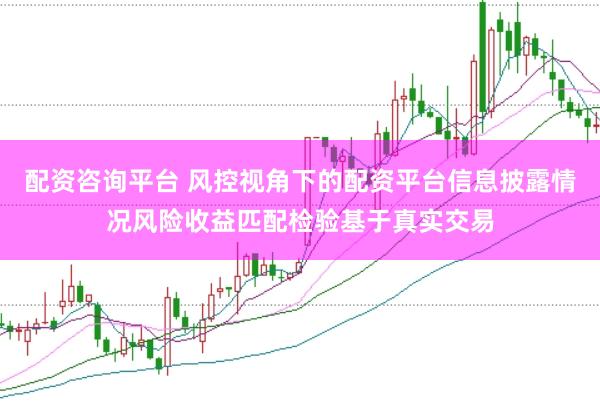 配资咨询平台 风控视角下的配资平台信息披露情况风险收益匹配检验基于真实交易