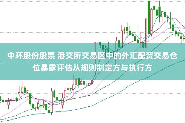 中环股份股票 港交所交易区中的外汇配资交易仓位暴露评估从规则制定方与执行方