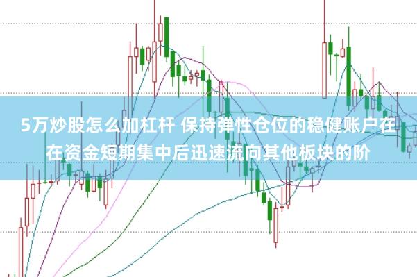 5万炒股怎么加杠杆 保持弹性仓位的稳健账户在在资金短期集中后迅速流向其他板块的阶