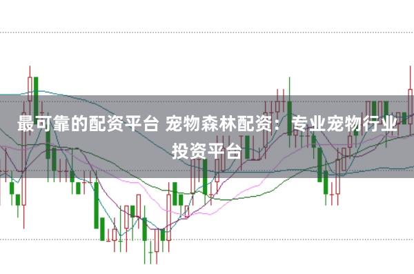 最可靠的配资平台 宠物森林配资：专业宠物行业投资平台