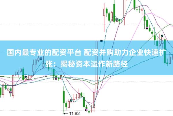 国内最专业的配资平台 配资并购助力企业快速扩张：揭秘资本运作新路径