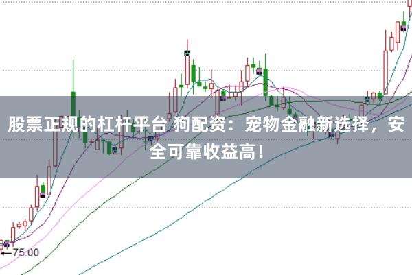 股票正规的杠杆平台 狗配资：宠物金融新选择，安全可靠收益高！
