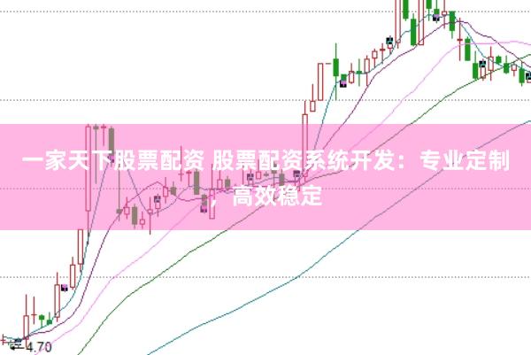 一家天下股票配资 股票配资系统开发：专业定制，高效稳定
