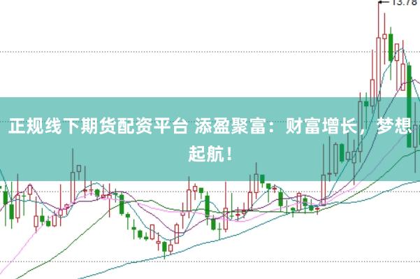 正规线下期货配资平台 添盈聚富：财富增长，梦想起航！
