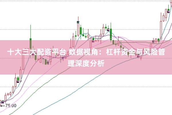 十大三大配资平台 数据视角：杠杆资金与风险管理深度分析