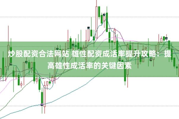 炒股配资合法网站 雄性配资成活率提升攻略：提高雄性成活率的关键因素